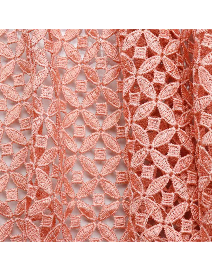 Guipur Salmón - Imagen 3