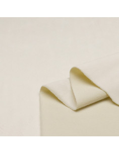 Terciopelo Liso Beige 2
